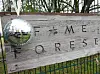 Im Hamburger „Fame Forest“ bekommt jeder Promi nach seinem Auftritt seinen eigenen Baum.