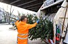 Hamburg: SRH-Mitarbeiter mit Weihnachtsbaum