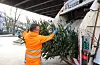 Hamburg: SRH-Mitarbeiter mit Weihnachtsbaum