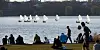 Hamburger sitzen an der Alster. (Symbolbild)