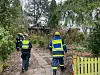 Noch am Montagvormittag dauerte der Einsatz von Feuerwehr, Polizei und THW an.