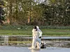 Tote Kraniche aus Wasser geborgen.