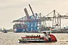 Eine HADAG-Fähre fährt an den Kränen und Containerschiffen im Hamburger Hafen am HHLA-Terminal Tollerort vorbei.