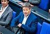 Robert Habeck Grüne Regierung