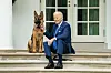 Joe Biden, Präsident der USA, sitzt mit seinem Hund auf den Stufen vor dem Weißen Haus.