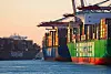 Deutsche Reedereien wie Hapag-Lloyd können Milliarden-Gewinne einstreichen, werden aber kaum besteuert. Das muss sich ändern, findet die Linke.