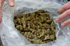 Die mutmaßlichen Dealer sollen mit mehr als einer Tonne Gras gehandelt haben (Symbolbild).