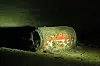 ast ein Kunstobjekt: Diese Cola-Dose vergammelt bereits seit Jahren im Tunnel.