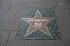 Der Stern von Udo Lindenberg auf der Reeperbahn (Archivbild)