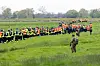 Einsatzkräfte suchen Feld ab