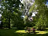 Im Sommer bezeichnen die Mieter ihren grünen Hinterhof als Idyll und „grünes Kleinod“.