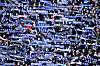 HSV-Fans im Volksparkstadion