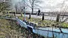 Durch den Tunnel am Falkensteiner Ufer sollen die Kröten sicher zu ihrem letzten verbliebenen Laichteich kommen.