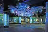 Austellungsraum mit Vitrinen und Tierpräparaten im Ozeaneum Stralsund