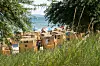 Scharbeutz an der Lübecker Bucht