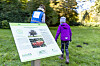 Tafel des baumlehrpfades im Stadtpark