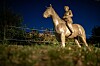 Hoch zu Ross: Bundeskanzlerin Angela Merkel als Statue
