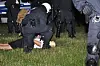 Polizisten nahmen mehrere Jugendliche in Gewahrsam