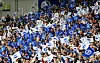 Fankurve Brighton & Hove Albion