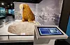 Museum der Natur