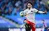HSV-Profi Ludovit Reis