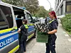 Polizei stellt Waffen sicher.