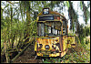 Verrottete Straßenbahn im Wald