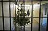 Ein Weihnachtsbaum in einem Gefängnis (Symbolbild).