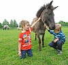 Tayler (l.) und Iron spielen mit einem Pony.
