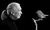 „Dr. Jane Goodall/Rotkehlchen“