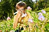 Ein Kind niest in einer Blumenwiese