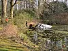 Baumpflegelaster in Friedhofsteich