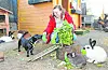 Bianca Urbschat mit den Kaninchen und Hund Balu.