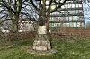 Steinstele auf Grünfläche, im Hintergrund ein Hochhaus