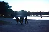 Am Südstrand des Großensees kam es am Dienstagabend zu einem tödlichen Unfall.