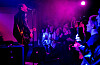 Kreisch! Miles Kane wird bei seinem Hamburg-Konzert im Molotow stürmisch bejubelt.