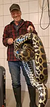 Christian Erdmann, Leiter des Wildtier- und Artenschutzzentrums in Klein Offenseth-Sparrieshoop, mit Ben, der Gelben Anakonda, die in Quickborn gefunden wurde.