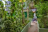 Der „Grüne Garten” auf dem Gertrudenkirchhof soll Hamburger:innen künftig zum Verweilen einladen.