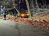 Feuerwehrkräfte begutachten den BMW.