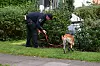 Ein Beamter sucht mit einem Polizeihund nach der Tatwaffe.