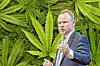 (Fotomontage): Hamburgs Innensenator Andy Grote vor einem Bild mit zahlreichen Cannabis-Pflanzen