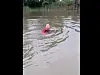 Wird das Spendeziel von 500 Euro erreicht, schwimmt Sarrazin am Wahltag ins Wahllokal.