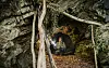 MOPO-ReporterThomas Hirschbiegelin der Harzburger Höhle. Den sagenhaften „Tatzelwurm“, der hier hausen soll, traf er nicht an.