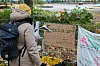 Die Tauschbox am Paulinenplatz in St. Pauli wurde abgeräumt. Anwohner sind empört.