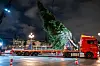 Eine große Tanne auf einem LKW