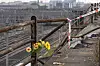 Blumen am Ort des Busunglücks in Venedig zu Beginn des Monats
