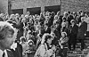 Am 25. Oktober 1982 entstand diese spezielle „Gruppenfoto“ auf dem Friedhof Ohlsdorf. Welche Rotlicht-Größen erkennen Sie?