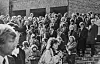 Am 25. Oktober 1982 entstand diese spezielle „Gruppenfoto“ auf dem Friedhof Ohlsdorf. Welche Rotlicht-Größen erkennen Sie?
