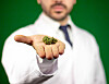 Ein Apotheker mit einer Cannabis-Blüte (Symbolfoto)