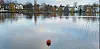 Kunst oder Spaß? Auf der Alster sorgt ein schwimmendes Corona-Virus für Amüsement.